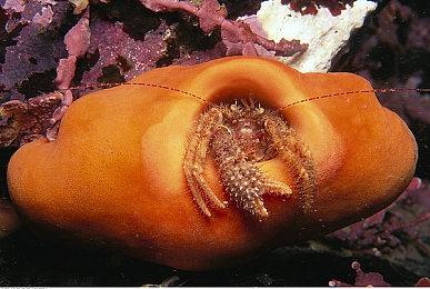 《小小梦魇3》实机演示公布 2025年正式发售