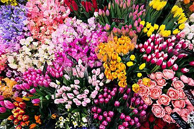 幸存恐怖新游《Project SZ》公开 主题细胞治疗